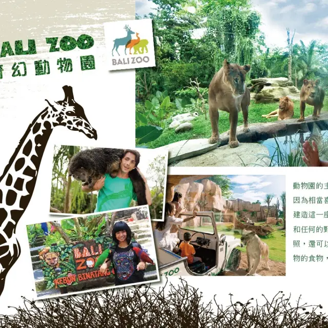 親子寶貝峇里 5 日｜Bali Zoo・貝尼達島・珊瑚種植｜實景照 2