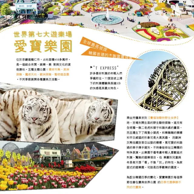 首爾 5日｜愛寶樂園・Starfield星空圖書館・COEX水族館(高雄出發)｜實景照 3