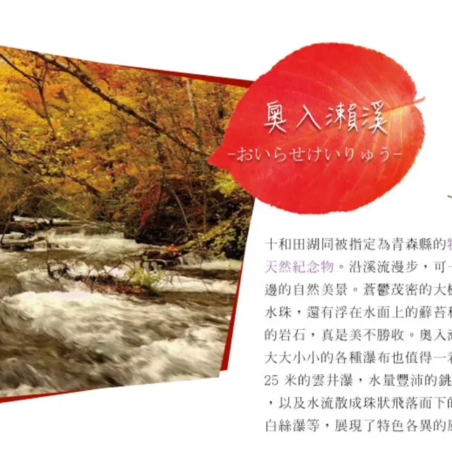 東北 6 日｜奧入瀨溪・猊鼻溪輕舟・松島遊船｜實景照 2
