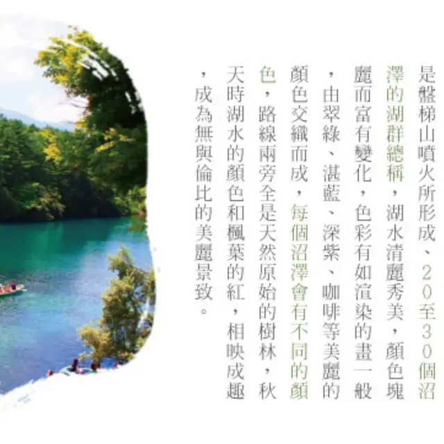 東北 6 日｜奧入瀨溪・猊鼻溪輕舟・松島遊船｜實景照 3